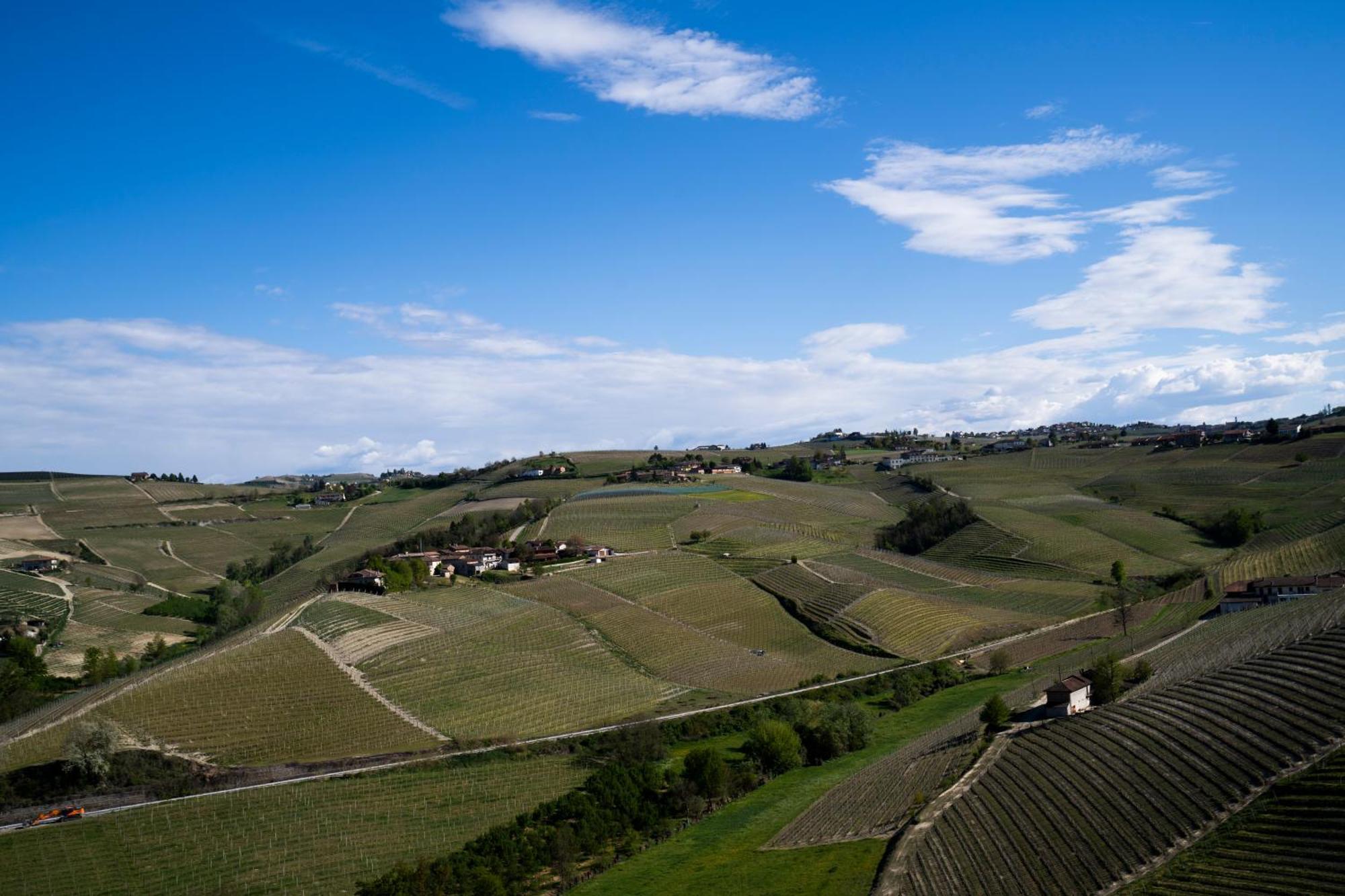Agriturismo Rivella Barbaresco Exterior foto